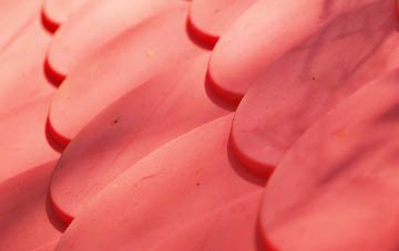 Fochriw plastic roof costs