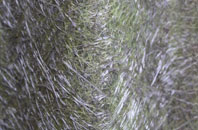 Fochriw fibreglass roof work